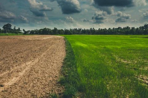 Ploughed field Stock Photos