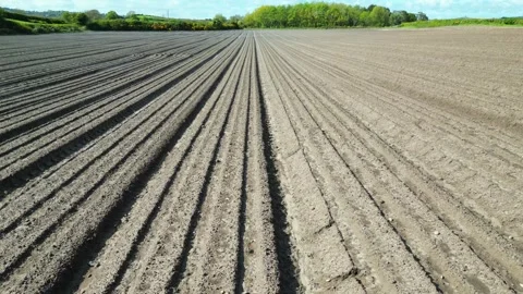 Ploughed field, push forward, low Stock-Footage 241156757
