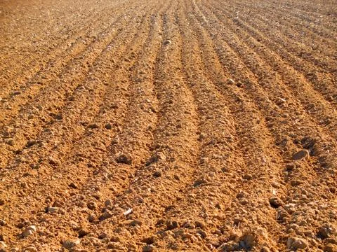 Ploughed field in spring Foto stock
