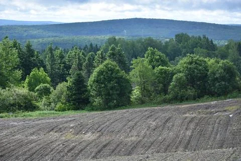 A ploughed field in spring Stock Photos