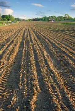 Ploughed field in spring vertical Stock Photos