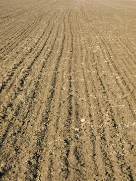 Ploughed field texture Stock Photos