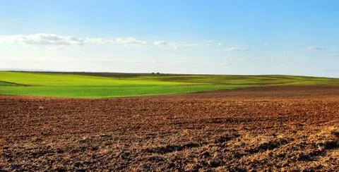 Ploughed field under  cloudy sky, at sunset Stock Photos
