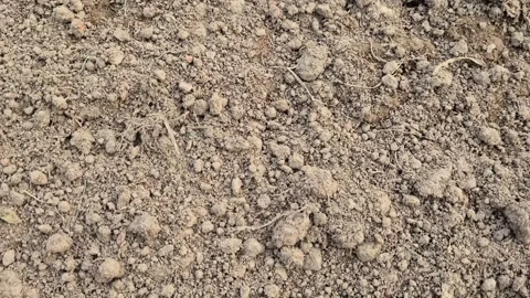 Ploughed Loose Soil Texture Close Up Agricultural Land Preparation Farm Video Stock Footage 343730256