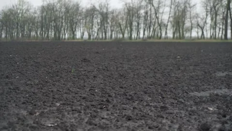 Ploughed soil in the field before the sowing process. wet soil after rain. Stock Footage 241738801