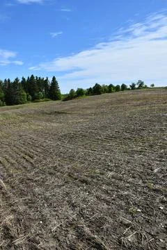 A ploughing field in the spring Stock Photos