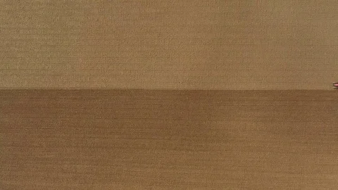 Ploughing Video stock 84364811