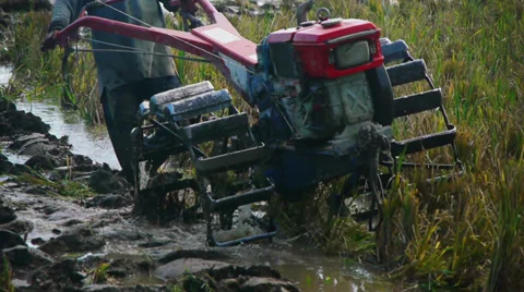 Ploughing rice field Stock Footage 32429910