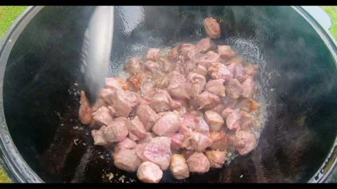 Plov Stock Footage 154433488