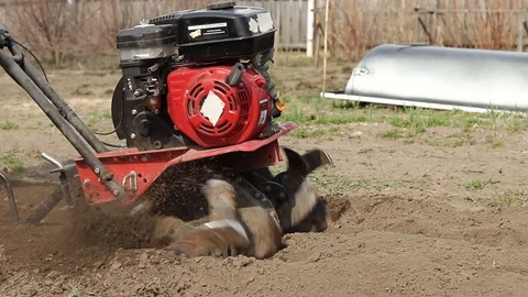 Plow the ground with a walk-behind tractor Stock Footage 129137993