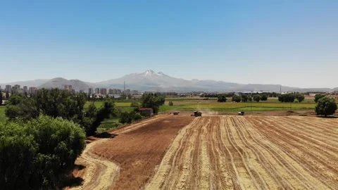 Plow Harvester Stock Footage 246751237