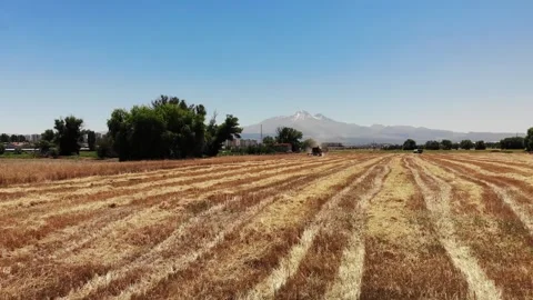 Plow Harvester Stock Footage 246751302