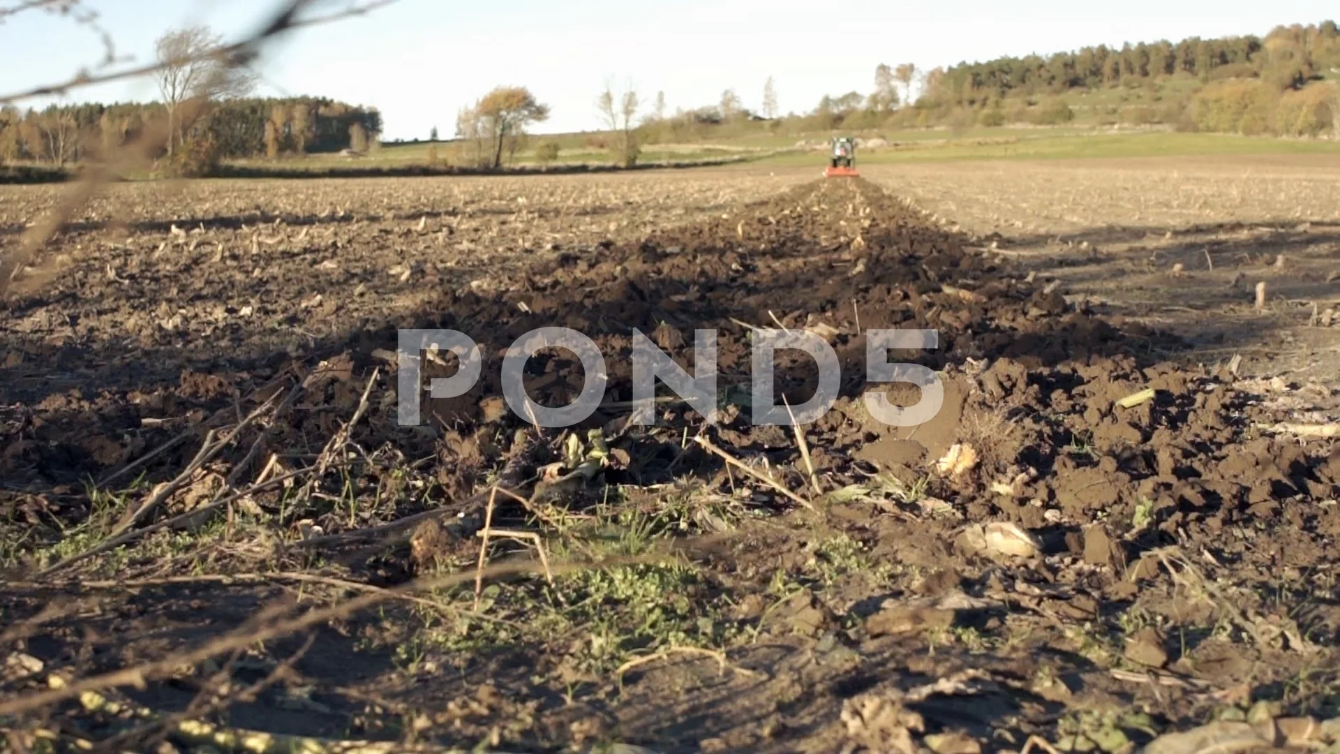 Plow Lines Behind Small Tractor In Tobacco Field