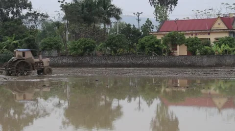 Plow paddy fields Stock Footage 47455412
