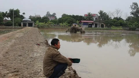 Plow paddy fields Stock Footage 47455418