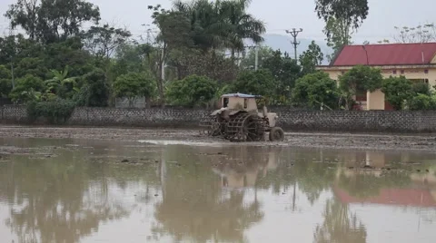 Plow paddy fields Stock Footage 47455419
