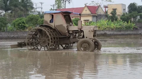 Plow paddy fields Video stock 47455431
