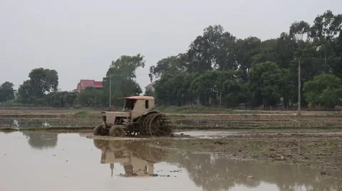 Plow paddy fields Stock Footage 47455453