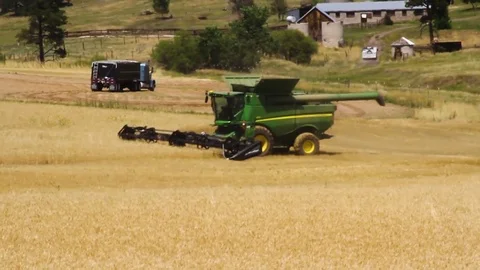 Plow working on the field Stock Footage 78523404