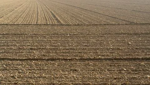 Plowed acre Stock Photos