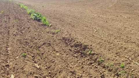Plowed agricultural field in springtime Stock Footage 272475003