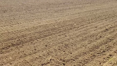 Plowed agricultural field in springtime Stock Footage 272475004