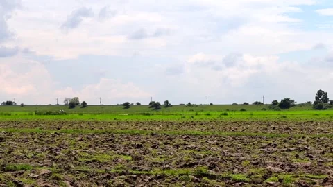 Plowed Agricultural Field Under a Cloudy Sky Stock Footage 344835204