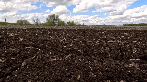 Plowed agricultural field under dramatic sky, soil texture close-up Stock Footage 254339283