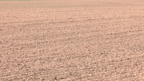 Plowed agricultural field under dramatic sky, soil texture close-up Vídeos de archivo 279210115