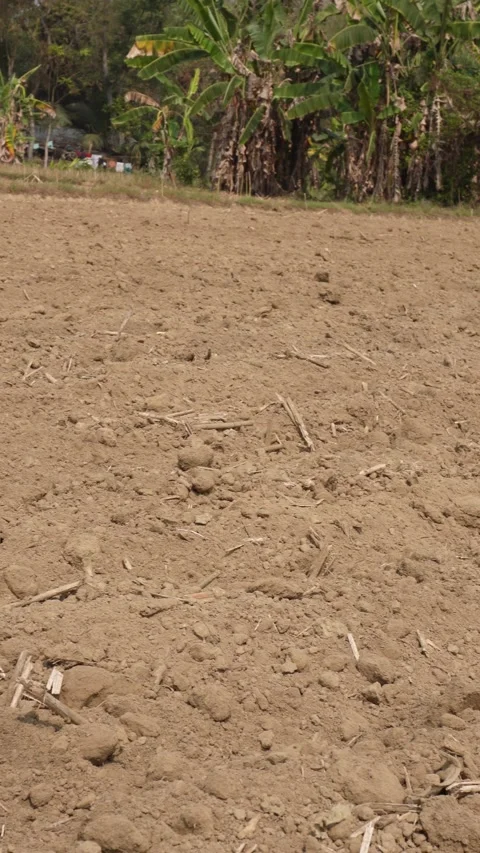 Plowed agricultural fields 스톡 동영상 332588878