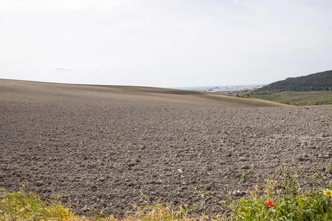 Plowed and empty land. Fallow Foto stock