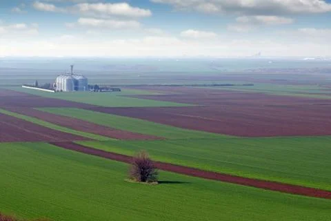 Plowed and green wheat fields and grain tank farmland landscape 스톡 사진