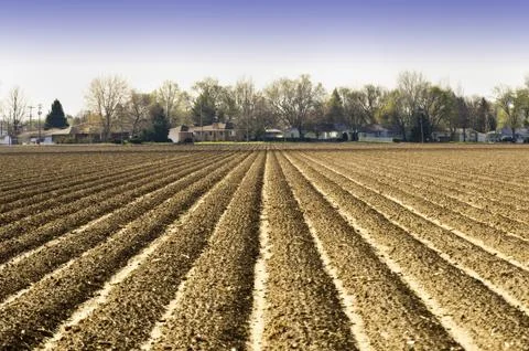 Plowed And Planted Stock Photos