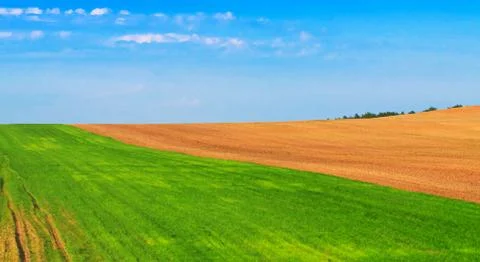 Plowed and sown fields in the spring. Farmlands, agriculture Stock Photos