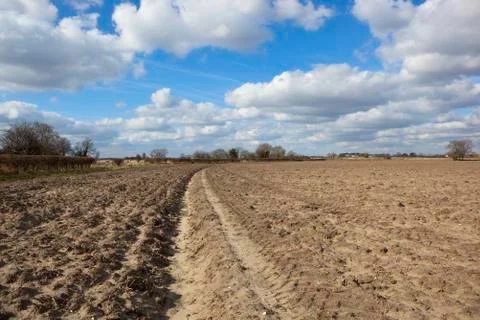 Plowed bare soil Stock Photos