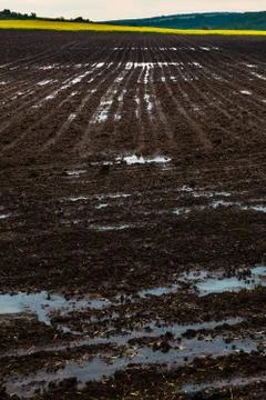 Plowed black earth Stock Photos