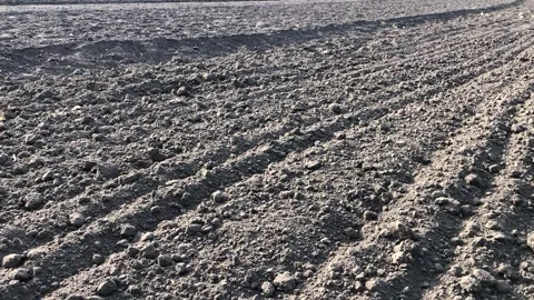 Plowed chernozem in the field close-up Video stock 335406022