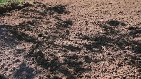Plowed country garden plot with a hand cultivator Video stock 79891908