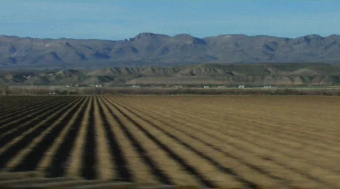 Plowed Crop Rows Stock Footage 436074