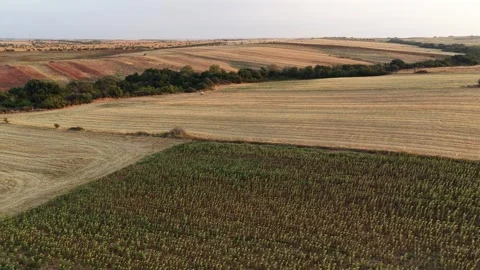 Plowed Farming Fields Stock Footage 335263605