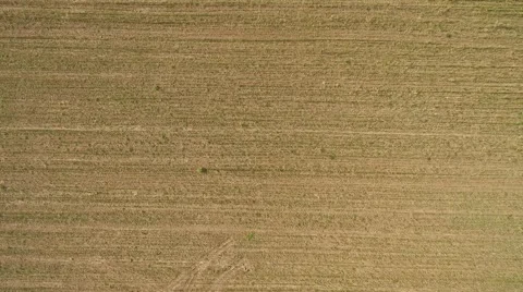 Plowed field aerial view 스톡 동영상 66249780