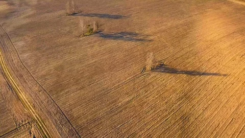 Plowed field and birch trees at springtime Stock Footage 105037647