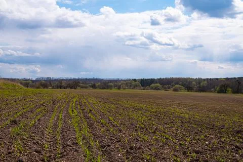 Plowed field and clouds in spring Stock Photos