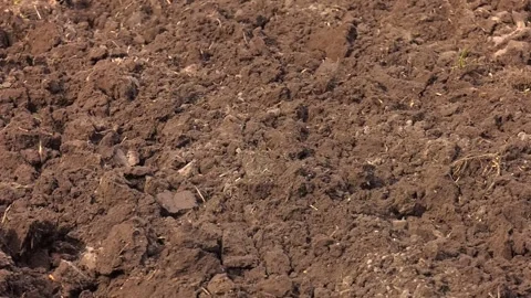 A plowed field in autumn. Video stock 247274780