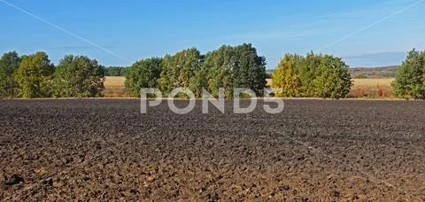 Plowed field. Autumn tillage for future crop Stock Photos