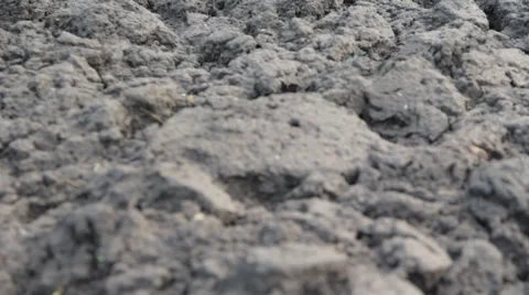 Plowed field close-up Stock Footage 46411171