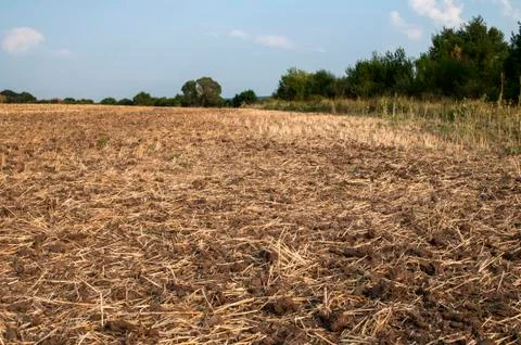 Plowed field closeup Stock Photos