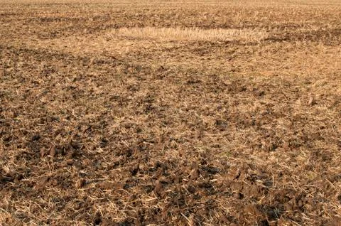 Plowed field closeup Stock Photos