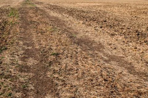 Plowed field closeup Stock Photos