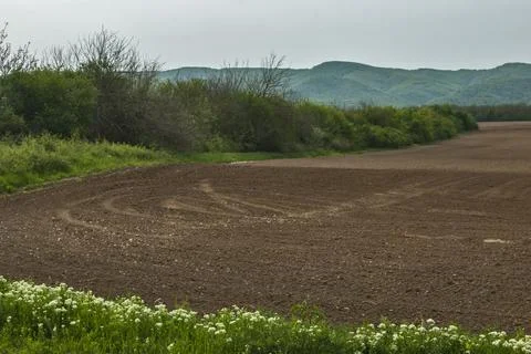 Plowed field closeup Stock Photos